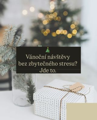 Vánoční návštěvy nemusí být o přežívání ani o splnění očekávání okolí. Mohou být klidnější, když jim dáme jasný rámec a...
