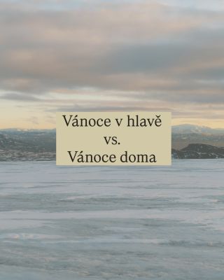 Měla jsem v hlavě tiché Vánoce. Světýlka, klid, rozjímání a hlavně odpočinek. Realita s dospělým synem s autismem je jiná....